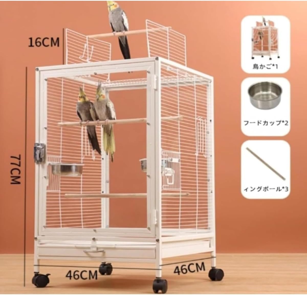 ルーヴル美術館 フランソワブーシェ La Cage The Bird-Cage